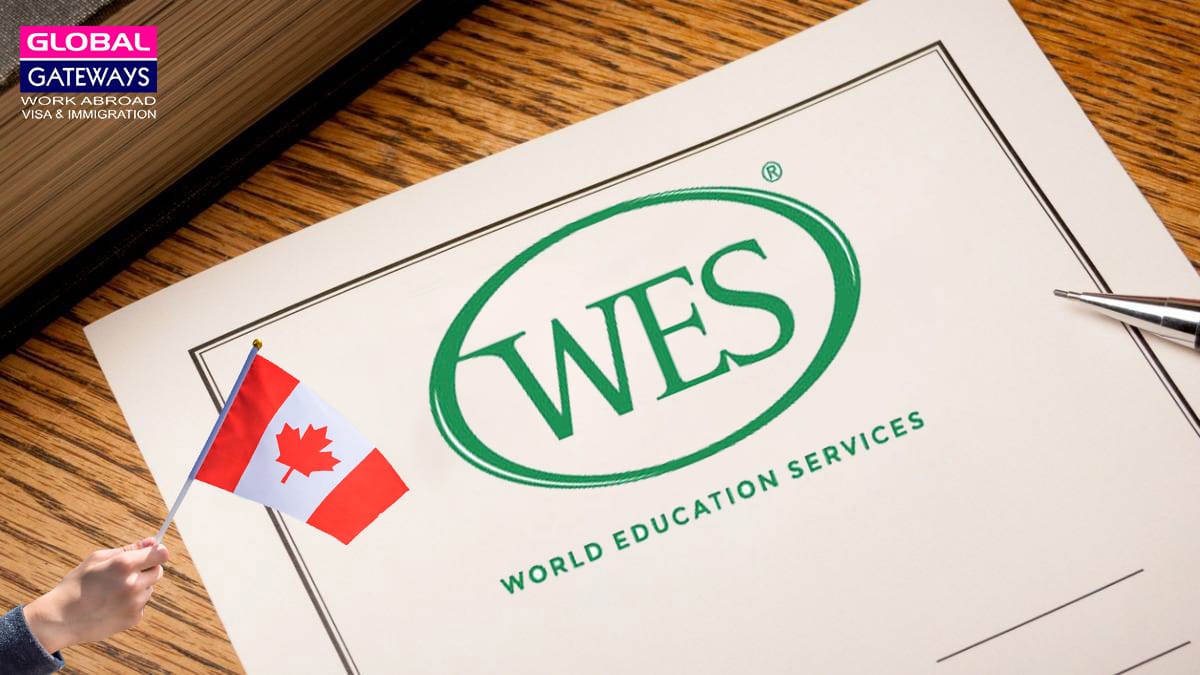 WES WORLD EDUCATION SERVICES